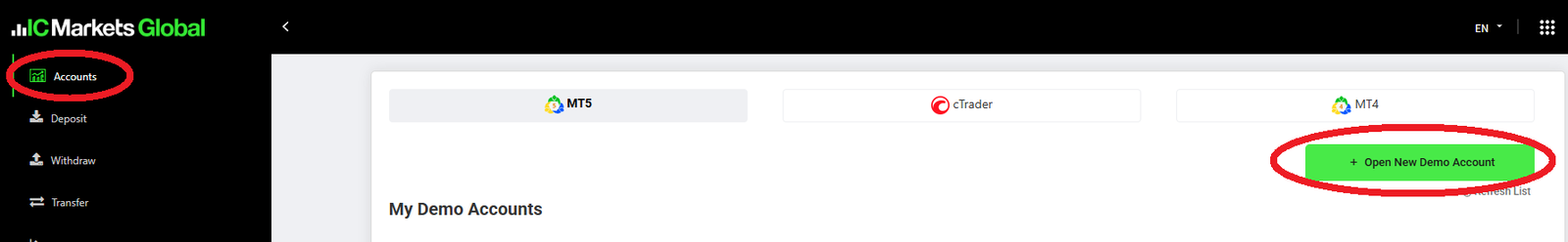 IC Marketsのクライアントエリアでデモ口座を開設する画面
